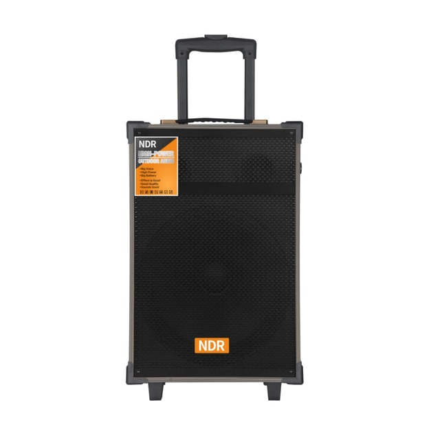 Trolley Wooden 12 Inch Loud Audio Speaker Versatile Portable Speaker with Deep Bass Stereo Subwoofer Music Player NDR-C12