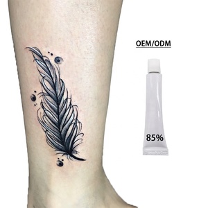 Kit de Inicio y Cuidado Posterior para Principiantes de Maquillaje Permanente con Polvo y Crema para Tatuajes, Diseño Exclusivo de Proveedores de Tatuajes, Nuevos Productos - Product Image 1