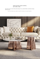 Leichte Luxus High-End Edelstahl Roségold Couch tisch Langlebige Blüten blätter Design