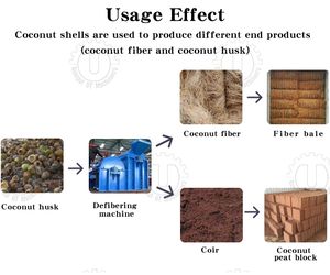 Bomba Extractora Automática de Fibra de Coco UT de Alta Capacidad 120-500kg/hora Línea de Procesamiento de Cáscara de Coco - Product Image 3