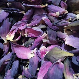 Bustina <span class=keywords><strong>di</strong></span> tè salutare tè ai fiori rosa petali <span class=keywords><strong>di</strong></span> <span class=keywords><strong>loto</strong></span> tè al <span class=keywords><strong>loto</strong></span> nasturzio <span class=keywords><strong>fiore</strong></span> <span class=keywords><strong>di</strong></span> <span class=keywords><strong>loto</strong></span> <span class=keywords><strong>blu</strong></span> - Product Image 4