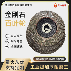 Disque à lamelles NBS 100x16mm, grain 100, pour le meulage du métal, disque abrasif - Product Image 5