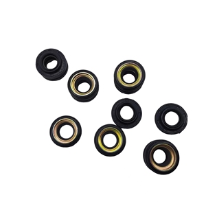 Vòng Đệm Trục Máy Nén <span class=keywords><strong>AC</strong></span> Tự Động RGFROST HVAC/Vòng Đệm Dầu/Vòng Đệm Vòng Đệm Vòng Đệm Máy Nén Cho Denso - Product Image 3