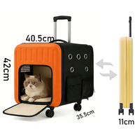 Sac de voyage pliable et portable gris sur mesure pour chiens ou chats, bagage rigide en polycarbonate respirant pour animaux de compagnie avec fermeture éclair à verrouillage