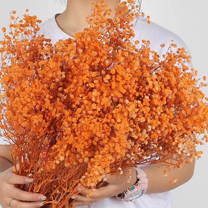 Nuevo 2026, Flor Seca Preservada, Gypsophila <span class=keywords><strong>Paniculata</strong></span>, Recuerdos de Boda, Decoración de Pared, Día de la Madre, Navidad - Product Image 4