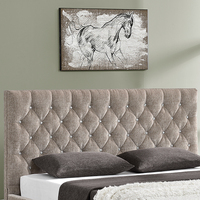 Willsoon Lit Capitonnée Luxe Double avec Rangement, Lit Rembourré en Velours avec Mécanisme de Levage, Cadre de Lit King Size Complet
