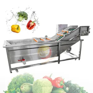 Mini transportador de frutas y manzanas de trabajo automático, lavadora de verduras, máquina de lavado de burbujas de hojas de algas marinas