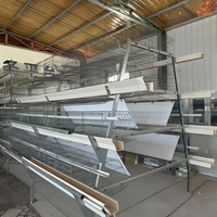 BANGYUAN Nuevo Jaula Automática Tipo A para Baterías de Gallinas Ponedoras, Modelo A-740 Galvanizado en Caliente para Granjas Avícolas, Alta Rentabilidad