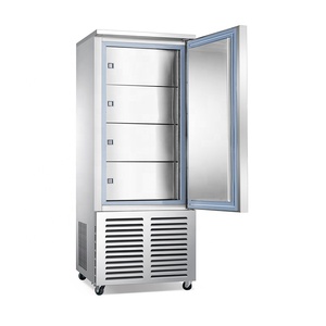 Refrigerador Vertical Comercial Profesional Automático para Cocina de Catering, Congelador Rápido para Pescado y Alimentos - Product Image 1