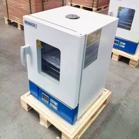 Horno de Secado por Aire Forzado BIOBASE CHINA con Ventana de Observación, 23L~88L, Horno de Secado para Laboratorio