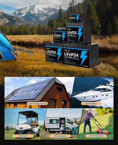 Ecolink Customize 12V 100Ah-400Ah Solid State LiFePO4 Batterijpakket CE/RoHS Certificering voor Vervanging Lithium Cel 5-Jaar Garantie - Product Image 6