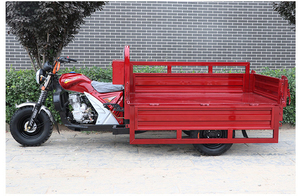 Triciclo de Carga Motorizado de Tres <span class=keywords><strong>Ruedas</strong></span> con Sidecar y Carrocería Abierta, de Gasolina, Fabricado en China - Product Image 5