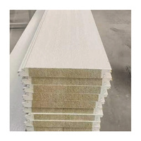 Panneau sandwich FRP à âme en mousse PU pour chambre froide 70mm 80mm 100mm, isolation légère pour usage hôtelier