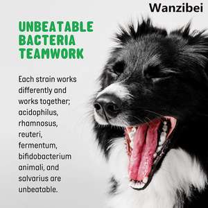 OEM/ODM Hondensnoepjes met Probiotica, Supplement en Anti-allergie Immunisatieversterker voor Honden, Veterinaire Supplementen Poeder - Product Image 3