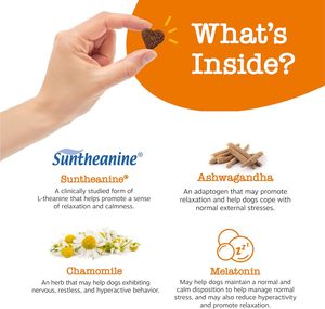 Wholesale OEM Customizable <strong>Dog</strong> Calming Chews &amp; Treats - Natural Stress Support Anxiety Relief Pet Health Care Supplements - Product Image 5