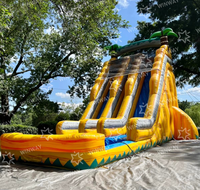 Château gonflable aquatique extérieur avec toboggan aquatique, motif palmier, qualité commerciale, pour piscine