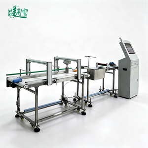 Machine d'inspection visuelle de codes QR haute vitesse avec console HMI pour la traçabilité des sacs de produits chimiques quotidiens sur la ligne de production - Product Image 5