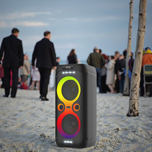 Altavoz <span class=keywords><strong>Bluetooth</strong></span> de fiesta doble económico de 8 pulgadas en Ali Baba - Product Image 1