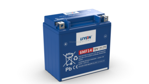 Batterie de moto sans entretien 6MF14, fournisseur d'usine LIYON pour <span class=keywords><strong>BMW</strong></span> Honda Yamaha CFMOTO Lifan - Product Image 3