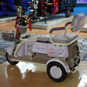 Tricycle d'extérieur à 3 roues, deux places, tricycle pour adultes avec passager - Product Image 3