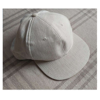 Vente en gros de casquettes de sport d'été pour hommes et femmes casquette snapback brodée de haute qualité personnalisée 6 panneaux casquette de baseball en chanvre avec logo