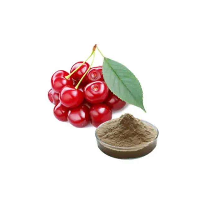 Groothandel Pure <span class=keywords><strong>Acerola</strong></span> <span class=keywords><strong>Cherry</strong></span> Extract Vitamine C