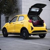 Vehículo Eléctrico de Lujo, Mini Hatchback Totalmente Automático de 4 Plazas, Paquete de Viaje Urbano de Nueva Energía