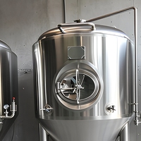 Équipement de micro-brasserie industrielle 10BBL 1000L, cuve de fermentation automatique, cuve sous pression, pompe PLC
