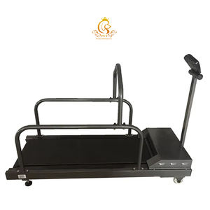 EUR hewan peliharaan listrik berlari Treadmill anjing peliharaan Treadmill membantu menjaga anak anjing cocok untuk anjing besar latihan profesional - Product Image 1