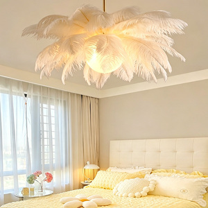 DUOMEIJU NOUVEAU <span class=keywords><strong>Plafonnier</strong></span> LED moderne et coloré à plumes, lumière chaude pour chambre à coucher - Product Image 6