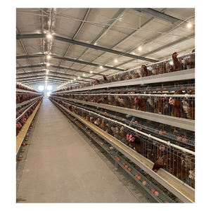 Gabbia per animali di tipo A per galline ovaiole, attrezzatura agricola in vendita calda <span class=keywords><strong>2026</strong></span>, materiale zincato a caldo - Product Image 2