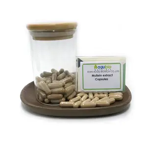OEM Pure Mullein Flower Extract Capsule Healthcare Mullein Extract Powder Herbal Supplements Mullein Leaf Extract Capsule