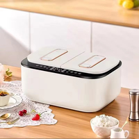 Cuisinière à riz intelligente à double cuve de 2,5 L + 2,5 L : Cuisinez 2 aliments en même temps avec 10 menus prédéfinis et contrôle par écran tactile