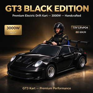 Go Kart Eléctrico Estilo GT3, Precio de Fábrica, 72V, 80km/h, 100km de Autonomía, Retro, para Adultos, Suministro OEM - Product Image 1