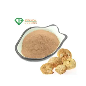 शुद्ध Hericium erinaceus शेर की अयाल मशरूम निकालने पाउडर