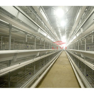 Suibian — <span class=keywords><strong>cage</strong></span> de volaille à raboteuse Semi-automatique, équipement pour élevage de volaille, vente de volaille, 5000 / 10000 - Product Image 1