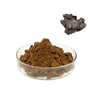 GANOHERB Extractos De Plantas Pó De Extrato De Cogumelo Chaga 10KG Barril Amostra Disponível Extrato De Cogumelos Em Pó - Product Image 4