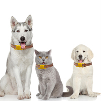 Étui étanche pour AirTag, localisateur de position, étui de protection anti-perte pour collier de chien, support de suivi AirTag, housse