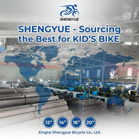 Vélo de montagne professionnel pour garçons SY Manufacturer, vélo pour enfants, cycle pour enfants pour le marché d'exportation