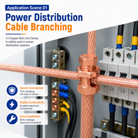 Pince de connexion de type boulon en cuivre pur, haute conductivité, faible résistance, pour connexion de lignes électriques