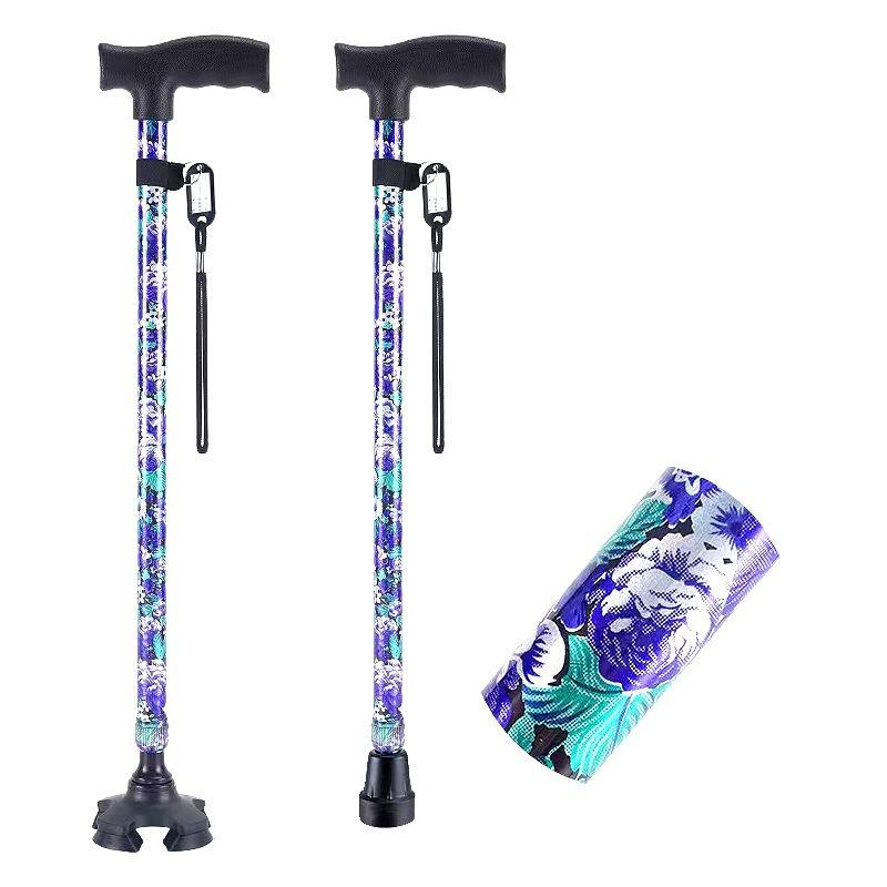 เบโกเนียดอกไม้เล็กสี่ขา