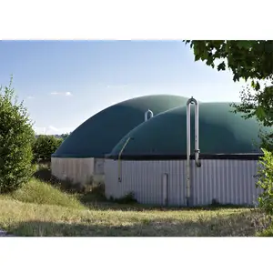 10 kW Mini-Biogas kraftwerks reinigungs anlage im Container