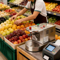 Mango aardappel Professionele 80W Automatische Fruit- en Groenteschiller voor Sinaasappelen Appels Aardappelen Wortelen Commerciële Verwerkingsmachine