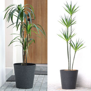 Pots de jardinière durables légers de vente directe d'usine grands pots de pépinière de semis de fleurs décoratifs ronds - Product Image 5