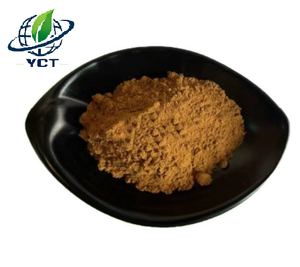 Polvo de Extracto de Hongo King Oyster |   Pleurotus <span class=keywords><strong>Eryngii</strong></span> |   10% Polisacáridos |   Suplemento para el Sistema Inmunológico - Product Image 1