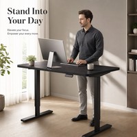 Table de bureau réglable en hauteur AOR en bois pour e-sport, apprentissage et travail sur ordinateur, couleur personnalisable, extensible, montage facile