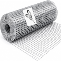Kawat Las Galvanis Celup Panas Gulungan 48in 1/2 Inci 19 Gauge Jaring Kawat 100Ft Pagar Anti Ular Kandang Hewan Kecil