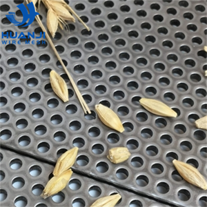 Malla Perforada Anticorrosión de Acero Inoxidable/Acero al Carbono con Orificios Redondos de 1mm-4mm para Molino de Martillos con Servicios de Soldadura y Corte - Product Image 4