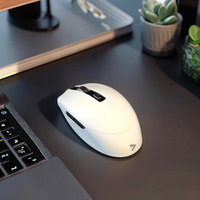 Souris de jeu sans fil double mode blanche ergonomique 2.4G Bluetooth haute résolution pour joueurs professionnels avec poignées latérales texturées OEM