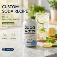 Vente en gros à bas prix 330ml de boisson gazeuse en conserve sans alcool à saveur de fruit eau gazeuse boisson gazeuse soda